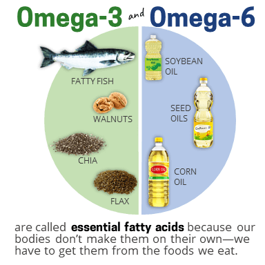 Sources of omega-3 (fish, walnuts, flax, and chia) and sources of Omega-6 (sunflower oil, seed oil, and corn oil)