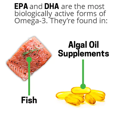 Best sources of ALA and DHA: fish and algal oil supplements