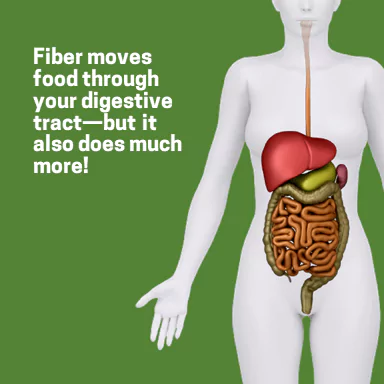 Human silhouette with diagram of digestive tract