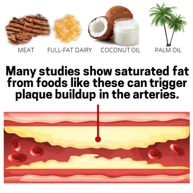 Steak, cheese, coconut oil, and palm oil