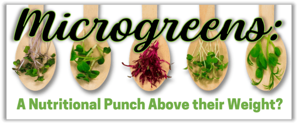 Spoonfuls of colorful microgreens