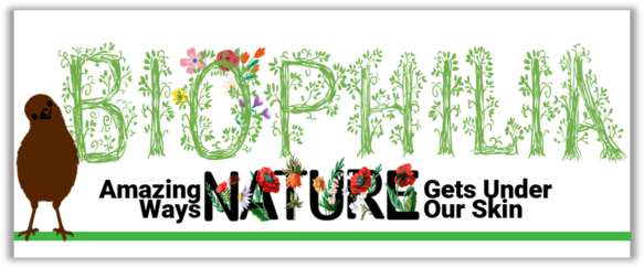 The word "biophilia" in font made of vines, with a brown bird perched nearby